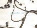 2024 Hyundai Santa Fe Front Bumper Wiring Harness 91880 R6020 MA Replacement 2024 Hyundai Santa Fe Front Bumper Wiring Harness 91880 R6020 MA Replacement thumbnail