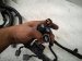 2025 Honda Civic Main Engine Wire Harness 1.5l Si Mt 32110 64B A00 Replacement 2025 Honda Civic Main Engine Wire Harness 1.5l Si Mt 32110 64B A00 Replacement thumbnail