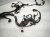 2025 Honda Civic Main Engine Wire Harness 1.5l Si Mt 32110 64B A00 Replacement 2025 Honda Civic Main Engine Wire Harness 1.5l Si Mt 32110 64B A00 Replacement thumbnail