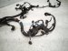 2025 Honda Civic Main Engine Wire Harness 1.5l Si Mt 32110 64B A00 Replacement 2025 Honda Civic Main Engine Wire Harness 1.5l Si Mt 32110 64B A00 Replacement thumbnail
