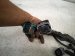 2022 Honda HR V Main Engine Wire Harness 1.8l Awd 32110 51M A51 Replacement 2022 Honda HR V Main Engine Wire Harness 1.8l Awd 32110 51M A51 Replacement thumbnail
