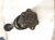 2011 Porsche Panamera Front Passenger Cv Axle Drive Shaft 970 349 038 08 Replacement 2011 Porsche Panamera Front Passenger Cv Axle Drive Shaft 970 349 038 08 Replacement thumbnail