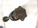 2011 Porsche Panamera Front Passenger Cv Axle Drive Shaft 970 349 038 08 Replacement 2011 Porsche Panamera Front Passenger Cv Axle Drive Shaft 970 349 038 08 Replacement thumbnail