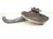 2011 Porsche Panamera Front Passenger Spindle Knuckle Hub Awd 970 341 158 05 Replacement 2011 Porsche Panamera Front Passenger Spindle Knuckle Hub Awd 970 341 158 05 Replacement thumbnail