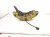 2011 Porsche Panamera Front Passenger Brake Caliper 7PP 615 150 AD Replacement 2011 Porsche Panamera Front Passenger Brake Caliper 7PP 615 150 AD Replacement thumbnail