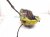 2011 Porsche Panamera Front Driver Brake Caliper 958 351 123 30 Replacement 2011 Porsche Panamera Front Driver Brake Caliper 958 351 123 30 Replacement thumbnail
