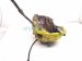 2011 Porsche Panamera Front Driver Brake Caliper 958 351 123 30 Replacement 2011 Porsche Panamera Front Driver Brake Caliper 958 351 123 30 Replacement thumbnail