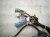 2022 Honda Passport Engine Room Harness W/fuse 3.5l Fwd 3212A TGT AN00 02 Replacement 2022 Honda Passport Engine Room Harness W/fuse 3.5l Fwd 3212A TGT AN00 02 Replacement thumbnail