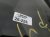 2022 Toyota Prius Rear Passenger Door Red No Inside Trim 67003 47150 Replacement 2022 Toyota Prius Rear Passenger Door Red No Inside Trim 67003 47150 Replacement thumbnail