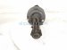 2022 Toyota Prius Front Passenger Strut Absorber + Spring 48510 80A89 Replacement 2022 Toyota Prius Front Passenger Strut Absorber + Spring 48510 80A89 Replacement thumbnail