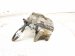 2022 Toyota Prius Core Core Front Passenger Brake Caliper 47730 12B10 Replacement 2022 Toyota Prius Core Core Front Passenger Brake Caliper 47730 12B10 Replacement thumbnail