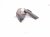 2022 Honda Civic Passenger Hood Hinge Grey 60120 T20 A00ZZ Replacement 2022 Honda Civic Passenger Hood Hinge Grey 60120 T20 A00ZZ Replacement thumbnail