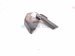 2022 Honda Civic Passenger Hood Hinge Grey 60120 T20 A00ZZ Replacement 2022 Honda Civic Passenger Hood Hinge Grey 60120 T20 A00ZZ Replacement thumbnail