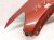 2020 Ford Explorer Front Driver Fender Red *scuff / Ding RB5Z 16006 B Replacement 2020 Ford Explorer Front Driver Fender Red *scuff / Ding RB5Z 16006 B Replacement thumbnail