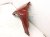 2020 Ford Explorer Front Driver Fender Red *scuff / Ding RB5Z 16006 B Replacement 2020 Ford Explorer Front Driver Fender Red *scuff / Ding RB5Z 16006 B Replacement thumbnail