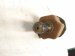 2020 Ford Explorer Front Driver Cv Axle Drive Shaft L1MZ 3A427 E Replacement 2020 Ford Explorer Front Driver Cv Axle Drive Shaft L1MZ 3A427 E Replacement thumbnail