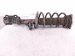2020 Ford Explorer Front Driver Strut Absorber + Spring ASH 85991 Replacement 2020 Ford Explorer Front Driver Strut Absorber + Spring ASH 85991 Replacement thumbnail