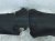 2025 Acura Integra Rear Passenger Inner Fender Liner 74552 3S5 A00 Replacement 2025 Acura Integra Rear Passenger Inner Fender Liner 74552 3S5 A00 Replacement thumbnail