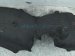 2025 Acura Integra Rear Passenger Inner Fender Liner 74552 3S5 A00 Replacement 2025 Acura Integra Rear Passenger Inner Fender Liner 74552 3S5 A00 Replacement thumbnail