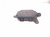 2020 Toyota Avalon Rear Passenger Blind Spot Radar Sensor 88162 07020 Replacement 2020 Toyota Avalon Rear Passenger Blind Spot Radar Sensor 88162 07020 Replacement thumbnail