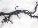 2018 Honda Civic Engine Wire Harness 1.5t At Htbk 32110 5AA A74 Replacement 2018 Honda Civic Engine Wire Harness 1.5t At Htbk 32110 5AA A74 Replacement thumbnail