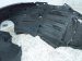 2025 Acura Integra Front Passenger Inner Fender Liner 74100 3S5 A00 Replacement 2025 Acura Integra Front Passenger Inner Fender Liner 74100 3S5 A00 Replacement thumbnail