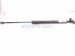 2022 Toyota Prius Driver Liftgate Shock Strut 68960 0WB21 Replacement 2022 Toyota Prius Driver Liftgate Shock Strut 68960 0WB21 Replacement thumbnail