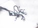 2022 Toyota Venza Engine Room Wire Harness Le Awd 82111 4DF81 Replacement 2022 Toyota Venza Engine Room Wire Harness Le Awd 82111 4DF81 Replacement thumbnail