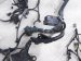 2022 Toyota Venza Engine Room Wire Harness Le Awd 82111 4DF81 Replacement 2022 Toyota Venza Engine Room Wire Harness Le Awd 82111 4DF81 Replacement thumbnail