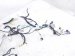 2022 Toyota Venza Instrument Panel Harness hyb Awd 82145 48111 Replacement 2022 Toyota Venza Instrument Panel Harness hyb Awd 82145 48111 Replacement thumbnail