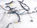 2022 Toyota Venza Instrument Panel Harness hyb Awd 82145 48111 Replacement 2022 Toyota Venza Instrument Panel Harness hyb Awd 82145 48111 Replacement thumbnail