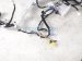 2022 Toyota Venza Instrument Panel Harness hyb Awd 82145 48111 Replacement 2022 Toyota Venza Instrument Panel Harness hyb Awd 82145 48111 Replacement thumbnail