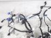 2022 Toyota Venza Instrument Panel Harness hyb Awd 82145 48111 Replacement 2022 Toyota Venza Instrument Panel Harness hyb Awd 82145 48111 Replacement thumbnail
