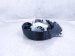 2025 Honda Civic Front Passenger Seat Belt Retractor Black 04814 T39 A01ZA Replacement 2025 Honda Civic Front Passenger Seat Belt Retractor Black 04814 T39 A01ZA Replacement thumbnail