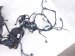 2025 Acura Integra Engine Room Harness W/fuse 1.5l Fwd 3220A 3S5 AB0 Replacement 2025 Acura Integra Engine Room Harness W/fuse 1.5l Fwd 3220A 3S5 AB0 Replacement thumbnail