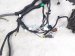 2025 Acura Integra Engine Room Harness W/fuse 1.5l Fwd 3220A 3S5 AB0 Replacement 2025 Acura Integra Engine Room Harness W/fuse 1.5l Fwd 3220A 3S5 AB0 Replacement thumbnail