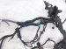 2025 Acura Integra Engine Room Harness W/fuse 1.5l Fwd 3220A 3S5 AB0 Replacement 2025 Acura Integra Engine Room Harness W/fuse 1.5l Fwd 3220A 3S5 AB0 Replacement thumbnail