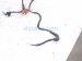2018 Honda Civic Transmission Wire Harness 1.5t At 28150 5CG A10 Replacement 2018 Honda Civic Transmission Wire Harness 1.5t At 28150 5CG A10 Replacement thumbnail