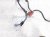 2018 Honda Civic Transmission Wire Harness 1.5t At 28150 5CG A10 Replacement 2018 Honda Civic Transmission Wire Harness 1.5t At 28150 5CG A10 Replacement thumbnail
