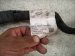 2018 Audi A5 Audi Engine Wire Harness 2.0l Awd Cymc 06L 971 595 CJ Replacement 2018 Audi A5 Audi Engine Wire Harness 2.0l Awd Cymc 06L 971 595 CJ Replacement thumbnail