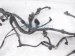 2000 Toyota Tacoma Main Engine Wire Harness 2.4l Mt 82121 3G390 Replacement 2000 Toyota Tacoma Main Engine Wire Harness 2.4l Mt 82121 3G390 Replacement thumbnail