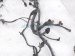 2000 Toyota Tacoma Main Engine Wire Harness 2.4l Mt 82121 3G390 Replacement 2000 Toyota Tacoma Main Engine Wire Harness 2.4l Mt 82121 3G390 Replacement thumbnail