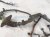 2000 Toyota Tacoma Main Engine Wire Harness 2.4l Mt 82121 3G390 Replacement 2000 Toyota Tacoma Main Engine Wire Harness 2.4l Mt 82121 3G390 Replacement thumbnail