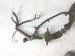 2000 Toyota Tacoma Main Engine Wire Harness 2.4l Mt 82121 3G390 Replacement 2000 Toyota Tacoma Main Engine Wire Harness 2.4l Mt 82121 3G390 Replacement thumbnail