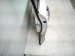 2020 Acura MDX Front Passenger Door White No Mirror/trim 67010 TZ5 A80ZZ Replacement 2020 Acura MDX Front Passenger Door White No Mirror/trim 67010 TZ5 A80ZZ Replacement thumbnail