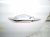 2020 Acura MDX Rear Driver Door White No Inside Trim 67550 TZ5 A70ZZ Replacement 2020 Acura MDX Rear Driver Door White No Inside Trim 67550 TZ5 A70ZZ Replacement thumbnail