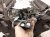 2020 Acura MDX Long Block Engine / Motor = Mi 10002 5J6 A12 Replacement 2020 Acura MDX Long Block Engine / Motor = Mi 10002 5J6 A12 Replacement thumbnail