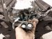 2020 Acura MDX Long Block Engine / Motor = Mi 10002 5J6 A12 Replacement 2020 Acura MDX Long Block Engine / Motor = Mi 10002 5J6 A12 Replacement thumbnail