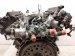 2020 Acura MDX Long Block Engine / Motor = Mi 10002 5J6 A12 Replacement 2020 Acura MDX Long Block Engine / Motor = Mi 10002 5J6 A12 Replacement thumbnail