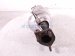 2020 Acura MDX Rear Exhaust Manifold 18280 5MJ A00 Replacement 2020 Acura MDX Rear Exhaust Manifold 18280 5MJ A00 Replacement thumbnail